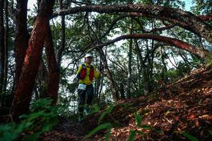 BIB: 
                            <button type="button" onclick="openModal(26345434)" class="btn btn-primary btn-sm float-right btn-popup" data-toggle="modal" data-target=".modal-high-quality">
                        <i class="fas fa-shopping-cart"></i> Add to Cart
                    </button>
                                            <button type="button" onclick="isThisMe(26345434, true)" class="btn btn-success btn-sm float-right btn-popup btn-isme hidden" data-toggle="tooltip" data-placement="bottom" title="นี่คือรูปของคุณใช่ไหม คลิกที่นี่เพื่อเอาเข้าอัลบั้ม">
                        <i class="fas fa-plus"></i> Add to album
                    </button>
                    <button type="button" onclick="isThisMe(26345434, false)" class="btn btn-warning btn-sm float-right btn-popup btn-isnotme hidden">
                        <i class="fas fa-ban"></i> Remove from album
                    </button>